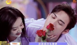 白张cp圈内人爆料小说,圈内人揭秘小说背后的真实故事